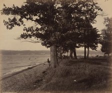 Cayuga Lake, Sheldrake, c. 1895. Creator: William H Rau.