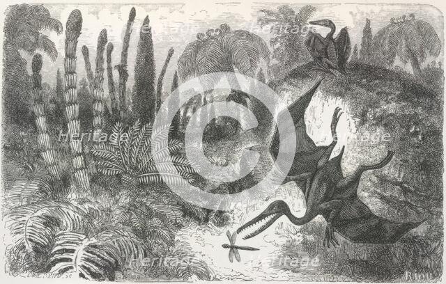 'Imaginary Landscape during the Secondary Epoch, with Pterodactyls, Lias Period', 1865.  Creator: Unknown.