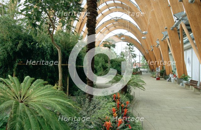 Winter Gardens, Sheffield, South Yorkshire.