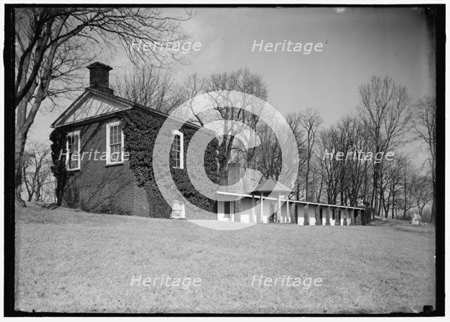 Monticello - Lower promenade, between 1914 and 1918. Creator: Harris & Ewing.