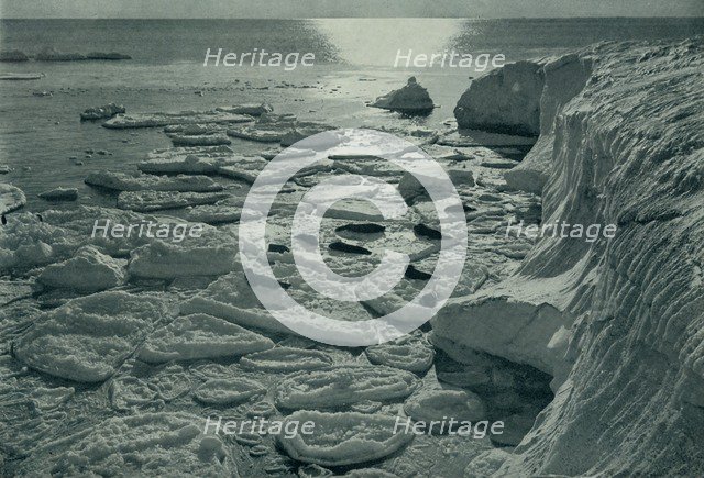 'Seals Basking on Newly Formed Pancake Ice Off Cape Evans', c1910–1913, (1913). Artist: Herbert Ponting.