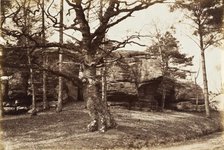Tree and Rock, c.1850. Creator: Henrietta Augusta Mostyn.