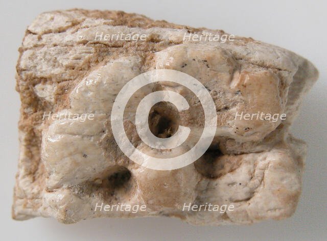 Relief Fragment with Part of a Rosette, Coptic, 6th-7th century. Creator: Unknown.