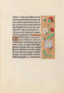 Hours of Queen Isabella the Catholic, Queen of Spain: Fol. 55r, c. 1500. Creator: Master of the First Prayerbook of Maximillian (Flemish, c. 1444-1519); Associates, and.