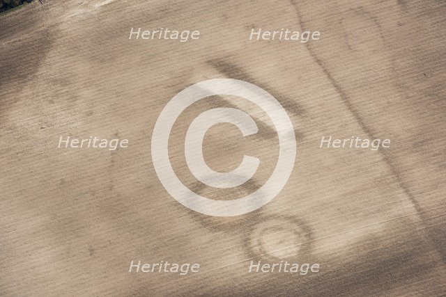 Soil marks on Houghton Down, near Danebury, Hampshire, 2018. Creator: Historic England Staff Photographer.