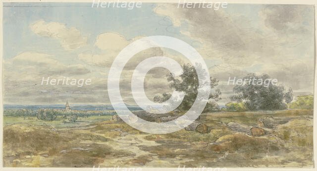 View over a plain, sawn-off tree trunks lying in the foreground, c1850-1905. Creator: Anton Burger.