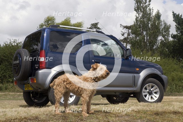 2009 Suzuki Jimny SZ4 with pet dog Artist: Unknown.