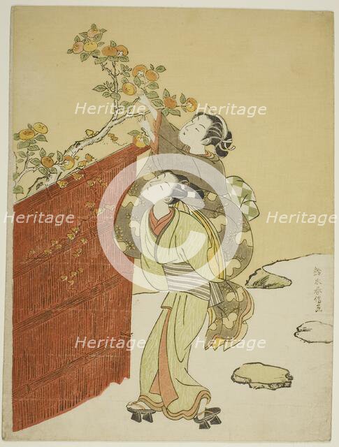 Picking Persimmons, c. 1767/68. Creator: Suzuki Harunobu.