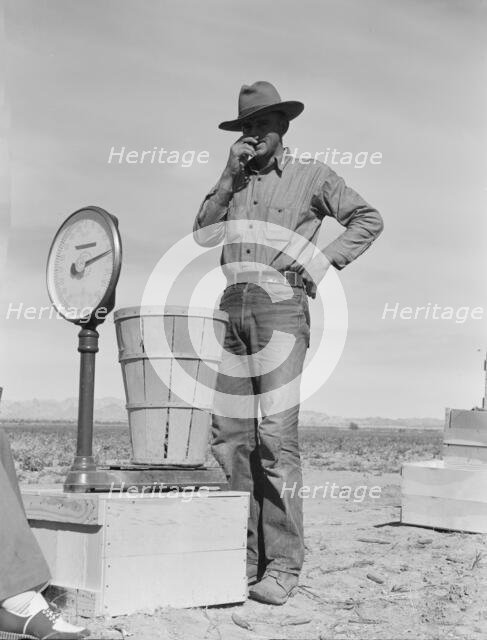 Pea picker at scales, near Calipatria, Imperial Valley, California, 1939. Creator: Dorothea Lange.