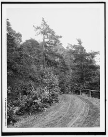 A Driveway, Lake Mohonk, N.Y., (1902?). Creator: Unknown.