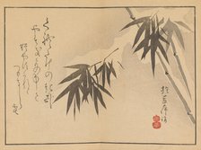 Sakai Hoitsu gajo (Sakai Hoitsu painting album). Creator: Hoitsu, Sakai (1761-1828).