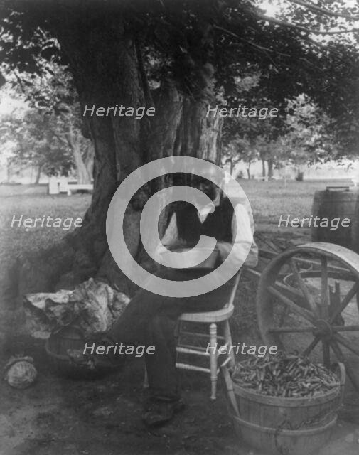 The cook at Marshall Hall, seated outdoors, shelling peas?, c1890. Creator: Frances Benjamin Johnston.