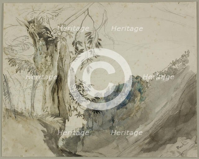 Spanish Chestnut, n.d. Creator: John Ruskin.