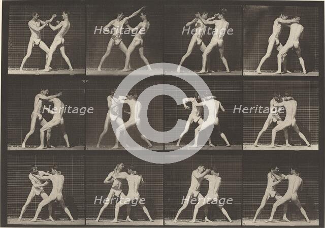 Plate Number 340. Boxing, open hand (shoes), 1887. Creator: Eadweard J Muybridge.