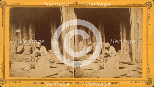 An Hour's search; or, Aunt Venue hunting for Florida fleas, c1850-c1930. Creator: Unknown.