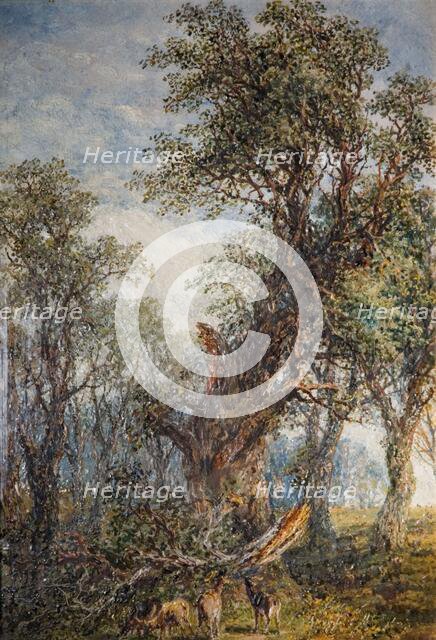 The Broken Bough, 1881. Creator: Frederick Henry Henshaw.