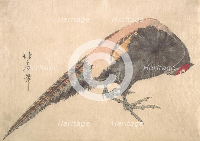 Bird, 1830s. Creator: Hakusanjin Hokui.