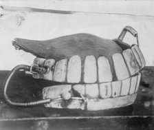 George Washington's teeth, between c1910 and c1915. Creator: Bain News Service.