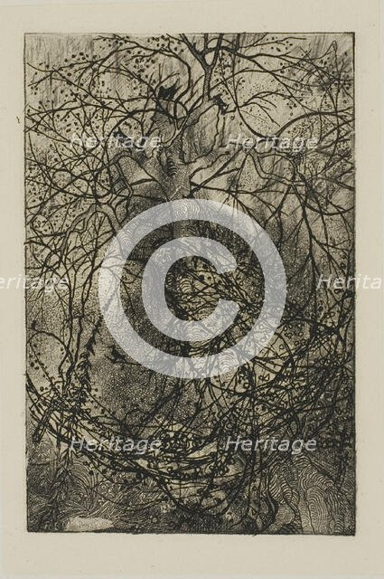 Tree Branches, n.d. Creator: Rodolphe Bresdin.