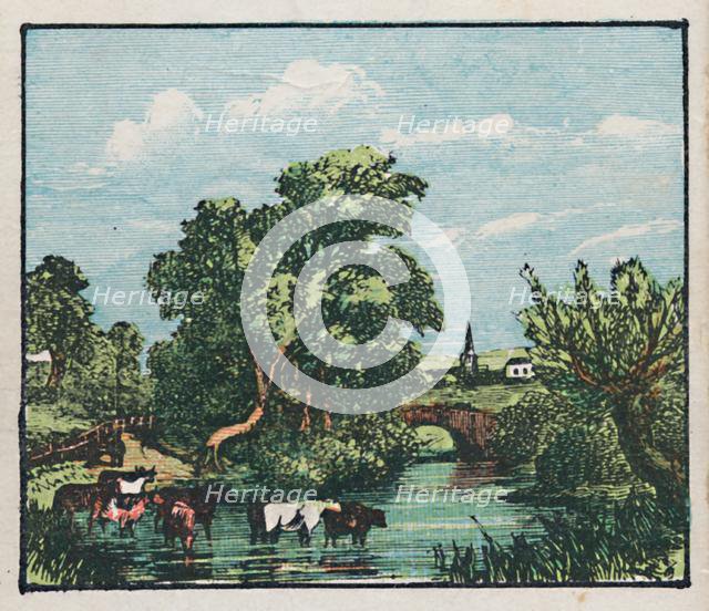 'Oakham', c1910. Creator: Unknown.