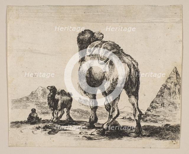Plate 18: camel viewed from behind with pyramid at right, from 'Various animals' (Di..., after 1641. Creator: Unknown.
