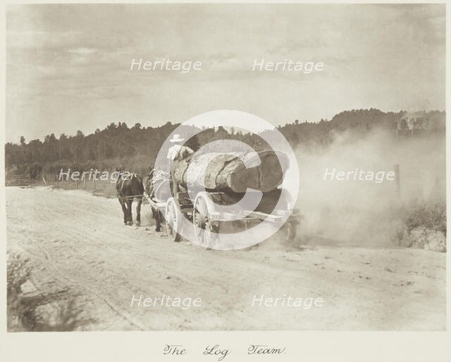 The log team. From the album: Camera Pictures of New Zealand, 1920s. Creator: Harry Moult.