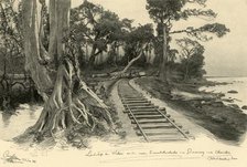 Railway, Weleri, Java, 1898.  Creator: Christian Wilhelm Allers.