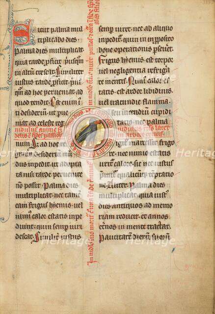 A Medallion with a Turtle Dove; De Natura Avium; De Pastoribus et Ovibus; Bestiarium, 1277 or after. Creator: Unknown.
