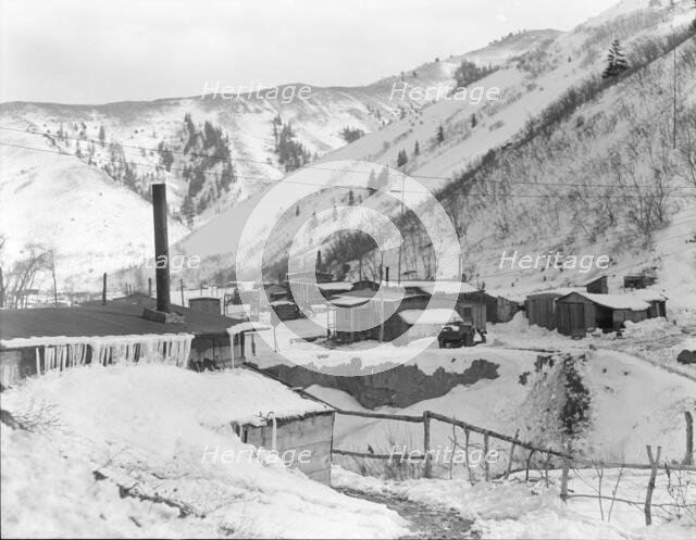 Utah coal mining, Consumers near Price, Utah., 1936. Creator: Dorothea Lange.