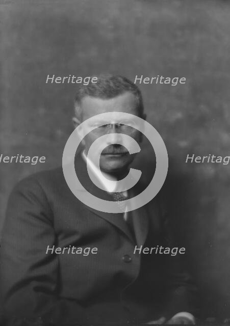 Heynen, Carl, Mr., portrait photograph, 1916. Creator: Arnold Genthe.
