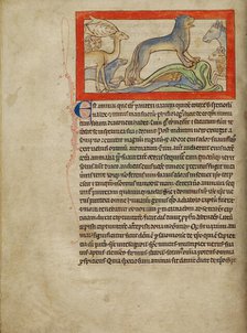 A Panther; Northumberland Bestiary, about 1250-1260. Creator: Unknown.