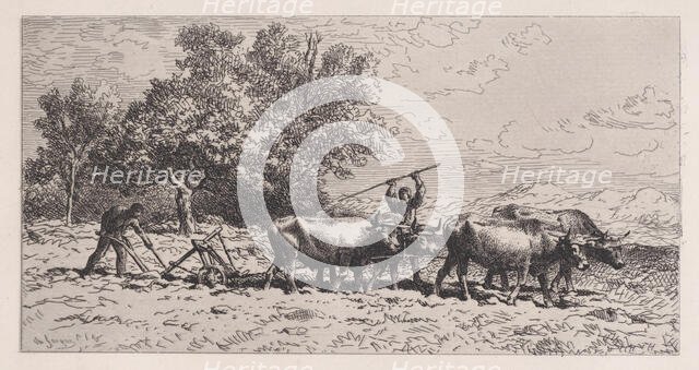 Attelage de Boeufs, 1868. Creator: Charles Emile Jacque.