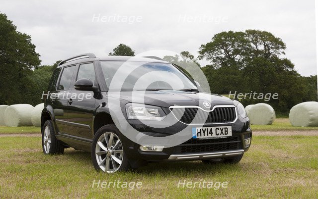 2014 Skoda Yeti SE Artist: Unknown.