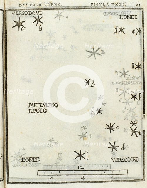 Structure of Capricornus, 1559. Creator: Unknown.