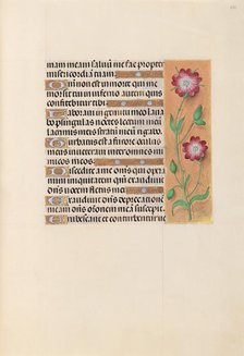 Hours of Queen Isabella the Catholic, Queen of Spain: Fol. 229r, c. 1500. Creator: Master of the First Prayerbook of Maximillian (Flemish, c. 1444-1519); Associates, and.