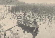 Gathering Water-Lilies, 1886. Creator: Dr Peter Henry Emerson.