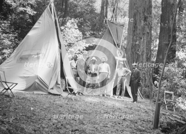 Bohemian Club Grove scene, between 1896 and 1911. Creator: Arnold Genthe.