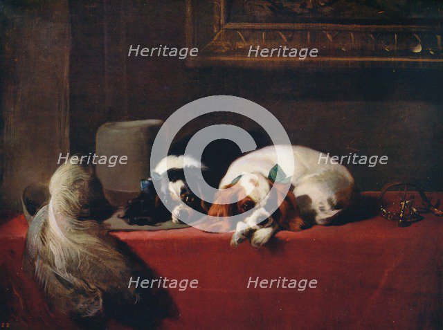 'King Charles Spaniels (‘The Cavalier’s Pets’)', 1845, (c1915). Artist: Edwin Henry Landseer.