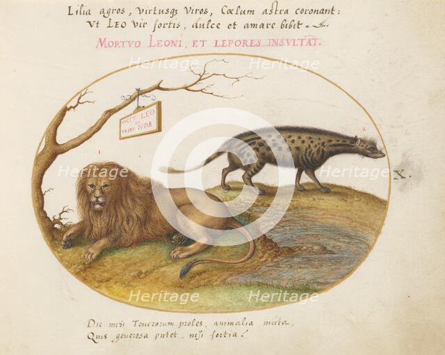 Animalia Qvadrvpedia et Reptilia (Terra): Plate X, c. 1575/1580. Creator: Joris Hoefnagel.