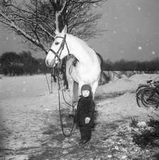 A little boy with a horse in winter, Sweden, 1958. Artist: Unknown