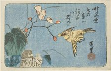 Yellow bird and begonia, n.d. Creator: Ando Hiroshige.