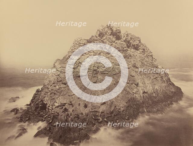 Sugar Loaf Island, Farallons, 1868/1869. Creator: Carleton Emmons Watkins.