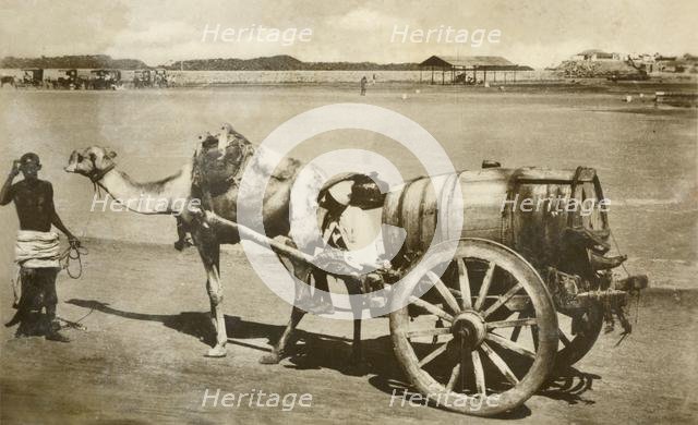 'Water Cart, Aden', c1918-c1939. Creator: Unknown.
