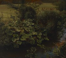 Brook, copy after Johann Wilhelm Schirmer, 1860-1880. Creator: Hjalmar Munsterhjelm.