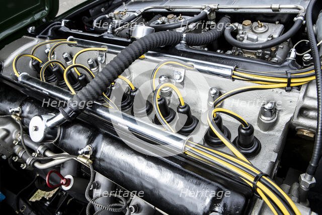 Engine of a 1961 Aston Martin DB4 GT previously owned by Donald Campbell. Creator: Unknown.
