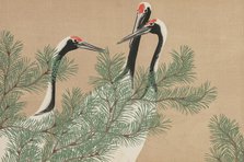 Cranes (Tsuru). From the series "A World of Things (Momoyogusa)", 1909-1910. Creator: Sekka, Kamisaka (1866-1942).