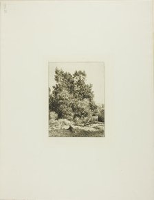 Landscape with Cowherd, c. 1865. Creator: Charles Emile Jacque.