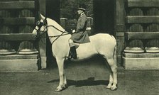 'Royal Outrider in Scarlet Livery', 1950s. Creator: Unknown.