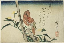 Kingfisher and dayflower, 1830s. Creator: Ando Hiroshige.