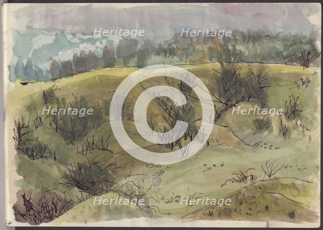 Landscape with bushes, Italy, c1950. Creator: Shirley Markham.